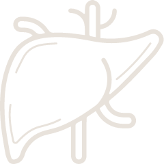 Hepato-Pancreato-Biliary